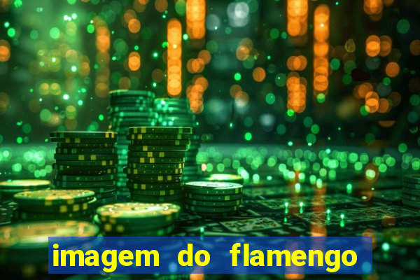 imagem do flamengo para perfil